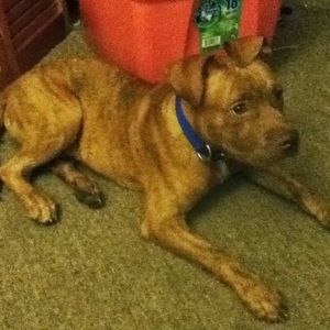 Meet your Posher, Tyrone